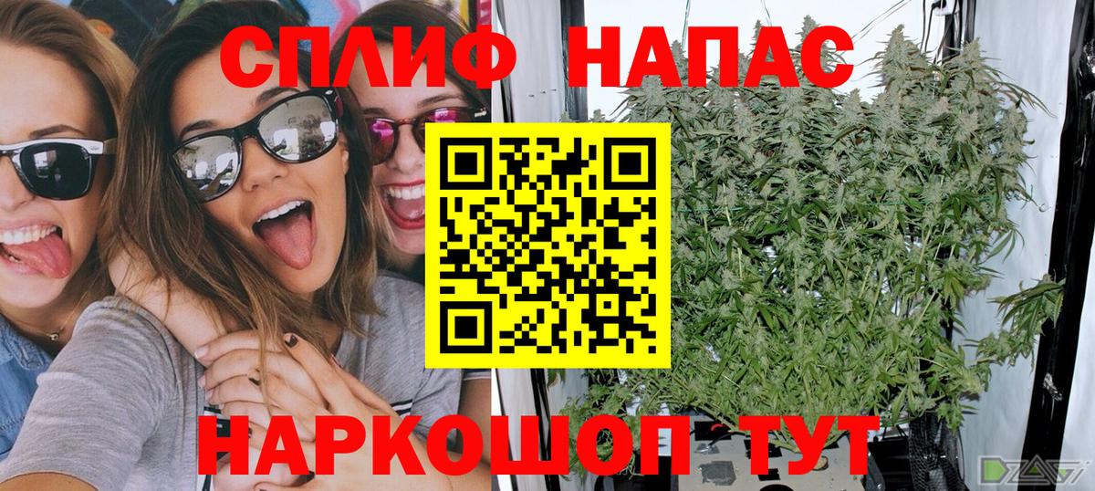 Канабис Ganja Хасавюрт